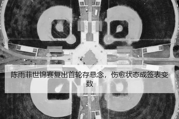 chen-yu-fei-shi-jin-sai-fu-chu-shou-lun-cun-xuan-nian-shang-yu-zhuang-tai-cheng-qian-biao-bian-shu-2-665.jpg